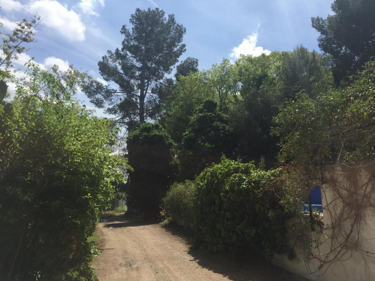 Masia La Molinera Xerta Ngoại thất bức ảnh
