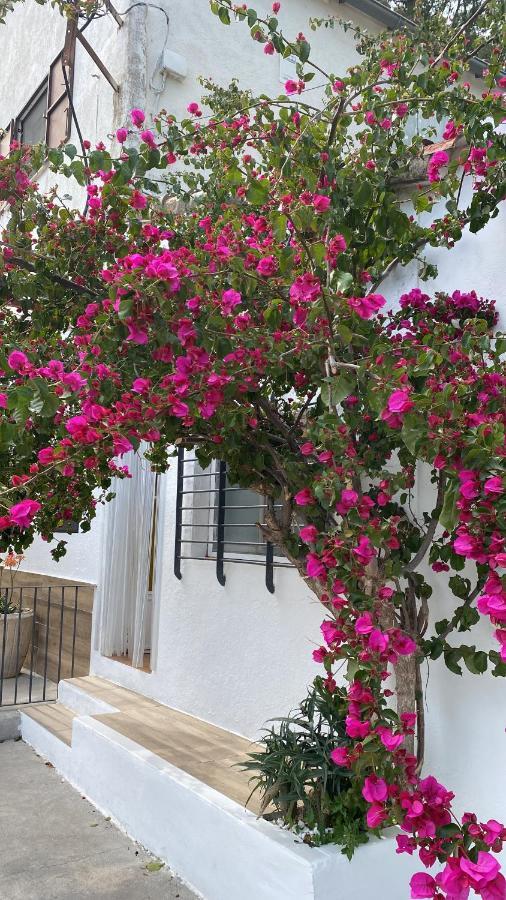 Masia La Molinera Xerta Ngoại thất bức ảnh
